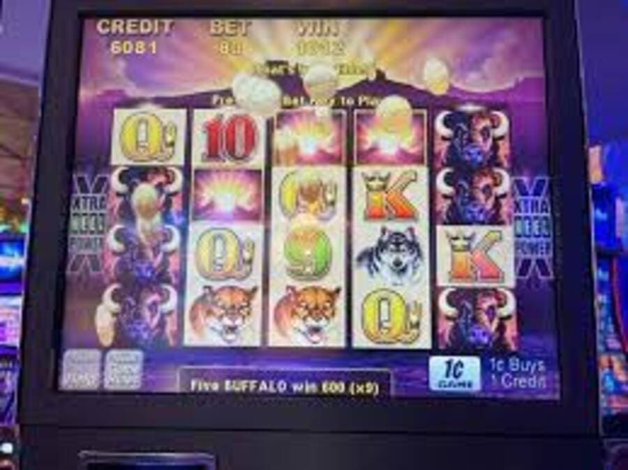 how to win buffalo grand slot machine